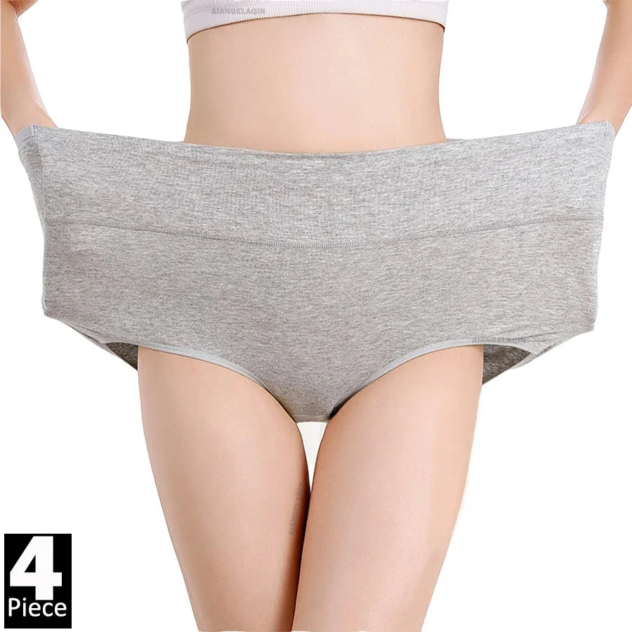 Absolute Comfort Panties 4Pcs