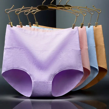 Absolute Comfort Panties 4Pcs